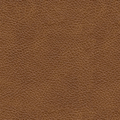 Carianna Sofa Sleeper - Sigrist Furniture (Sturgis,MI)