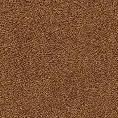 Carianna Sofa Sleeper - Sigrist Furniture (Sturgis,MI)