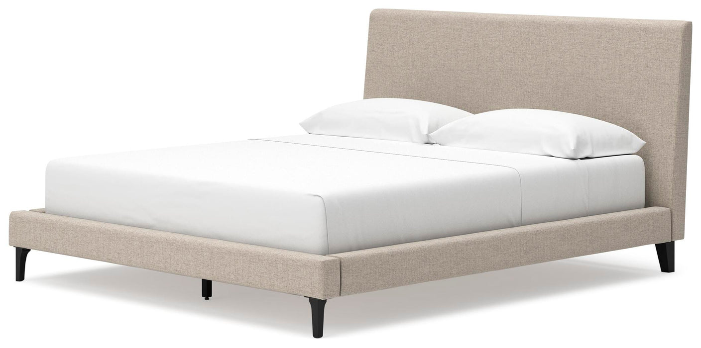 Cielden Upholstered Bed with Roll Slats - Sigrist Furniture (Sturgis,MI)