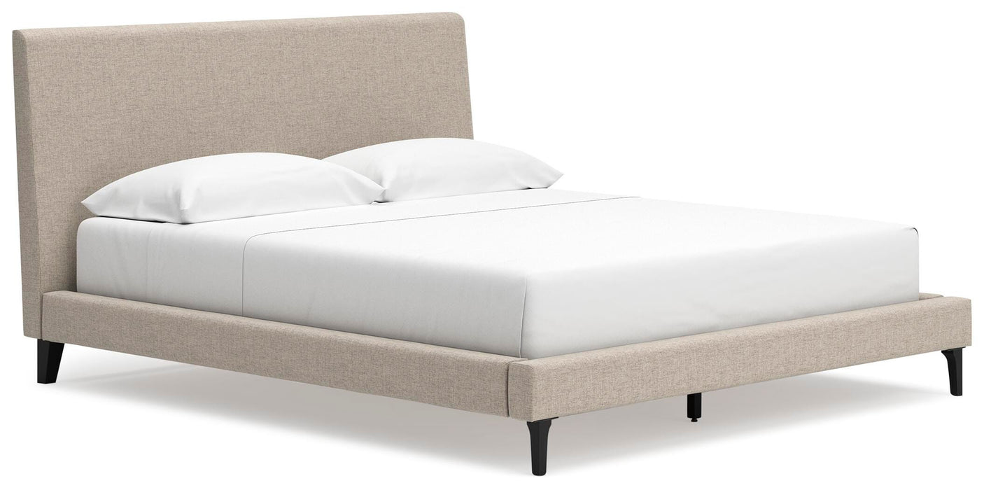 Cielden Upholstered Bed with Roll Slats - Sigrist Furniture (Sturgis,MI)