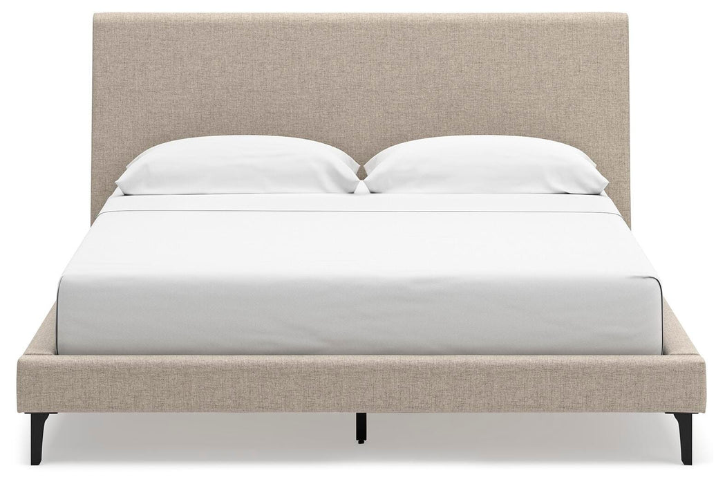 Cielden Upholstered Bed with Roll Slats - Sigrist Furniture (Sturgis,MI)