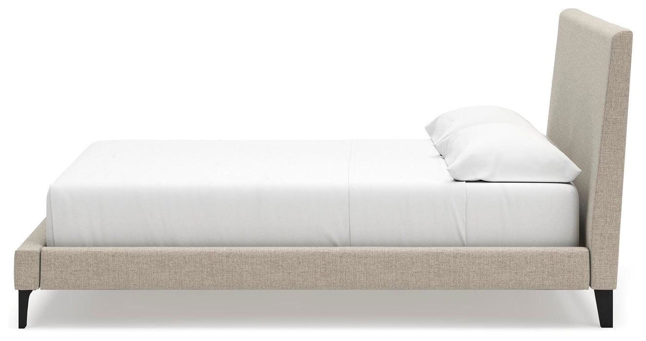 Cielden Upholstered Bed with Roll Slats - Sigrist Furniture (Sturgis,MI)