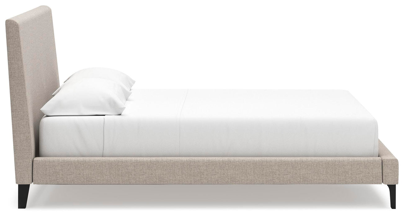 Cielden Upholstered Bed with Roll Slats - Sigrist Furniture (Sturgis,MI)