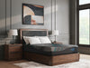 Millennium 2.0 Foam 12 Inch Mattress - Sigrist Furniture (Sturgis,MI)