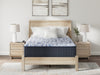 Firm Luxe 2.0 Mattress - Sigrist Furniture (Sturgis,MI)
