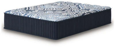 Firm Luxe 2.0 Mattress - Sigrist Furniture (Sturgis,MI)