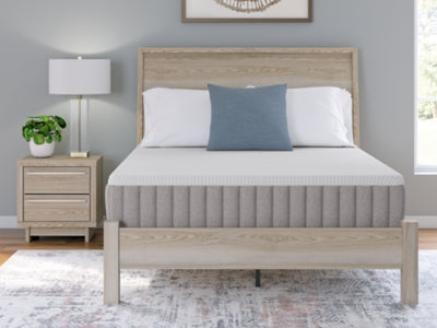 Terra Sleep Firm Mattress - Sigrist Furniture (Sturgis,MI)