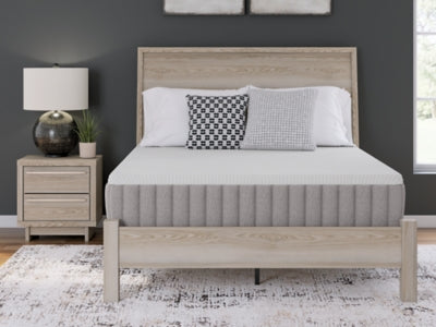 Terra Sleep Medium Mattress - Sigrist Furniture (Sturgis,MI)