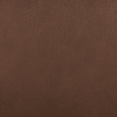 Pincara Power AutoGlide Recliner - Sigrist Furniture (Sturgis,MI)