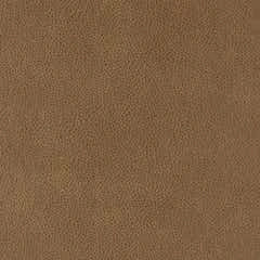 Dorian Power Reclining Sofa w/ Headrest & Lumbar - Camel ColorRivers